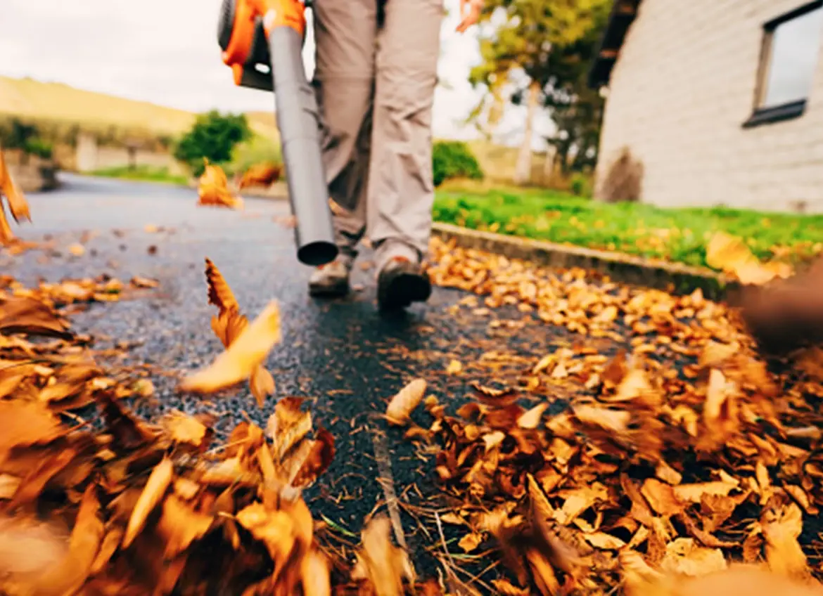 Blowing autumn leaves with a blower