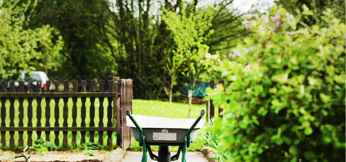 A wheelbarrow placed on a garden path, surrounded by plants