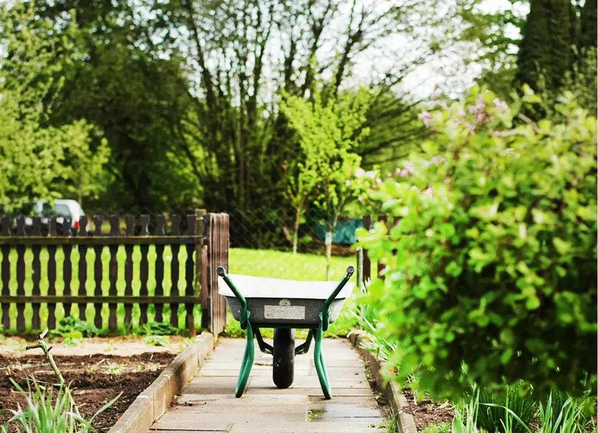 A wheelbarrow placed on a garden path, surrounded by plants